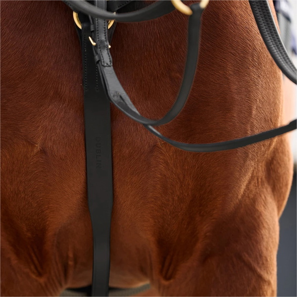 2026 Dublin 3-Point Breastplate 1031504 - Black